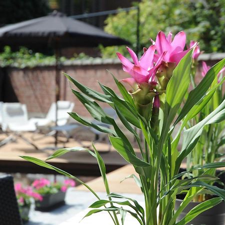 Charmehotel Villa Saporis Hasselt Kültér fotó